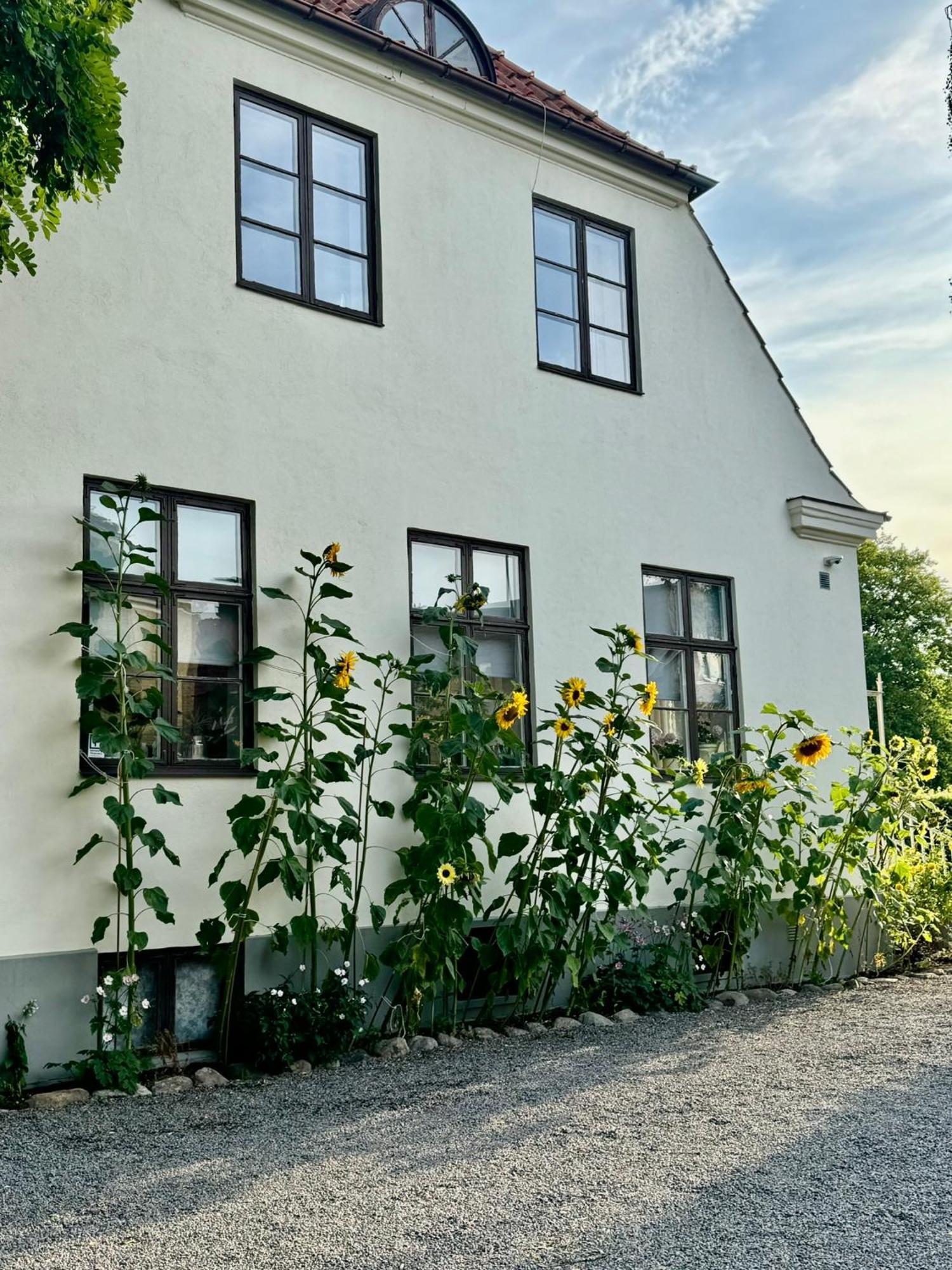 Stf Landskrona Hostel Landskrone Esterno foto